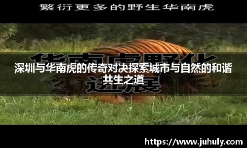 k1体育十年品牌值得信赖