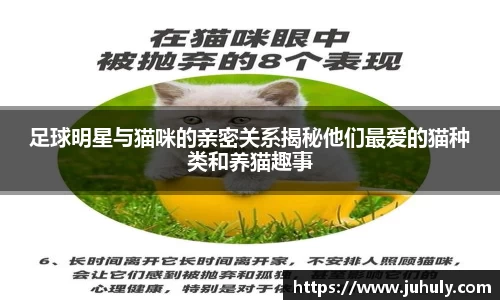 k1体育-十年品牌